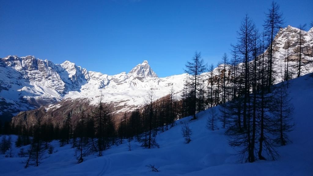 Hotel Al Caminetto Valtournenche Bagian luar foto